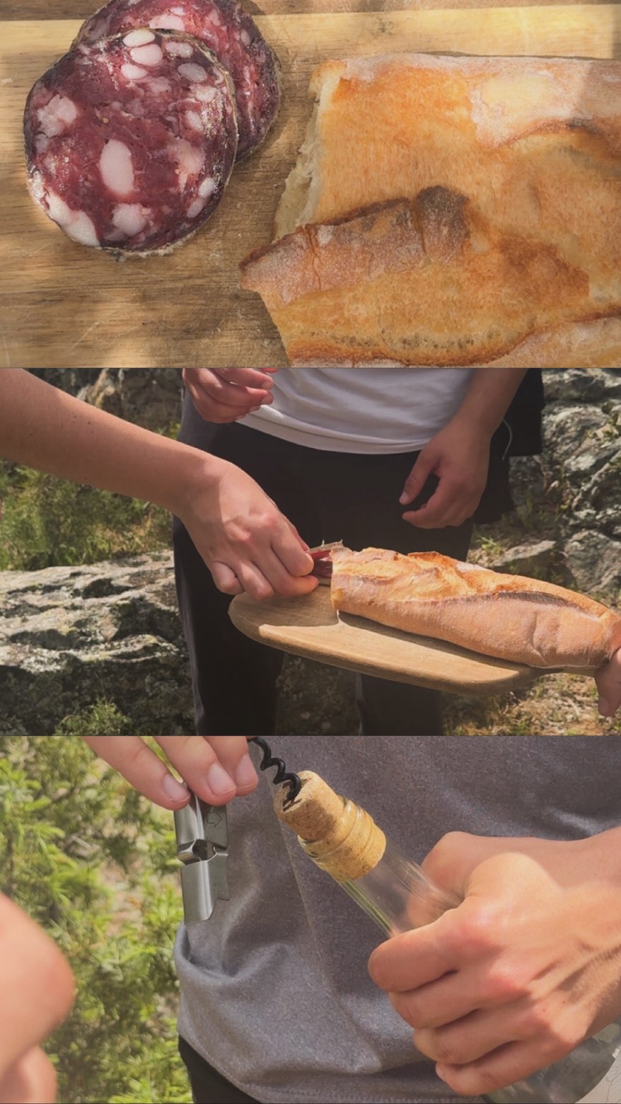 Dégustation terroir