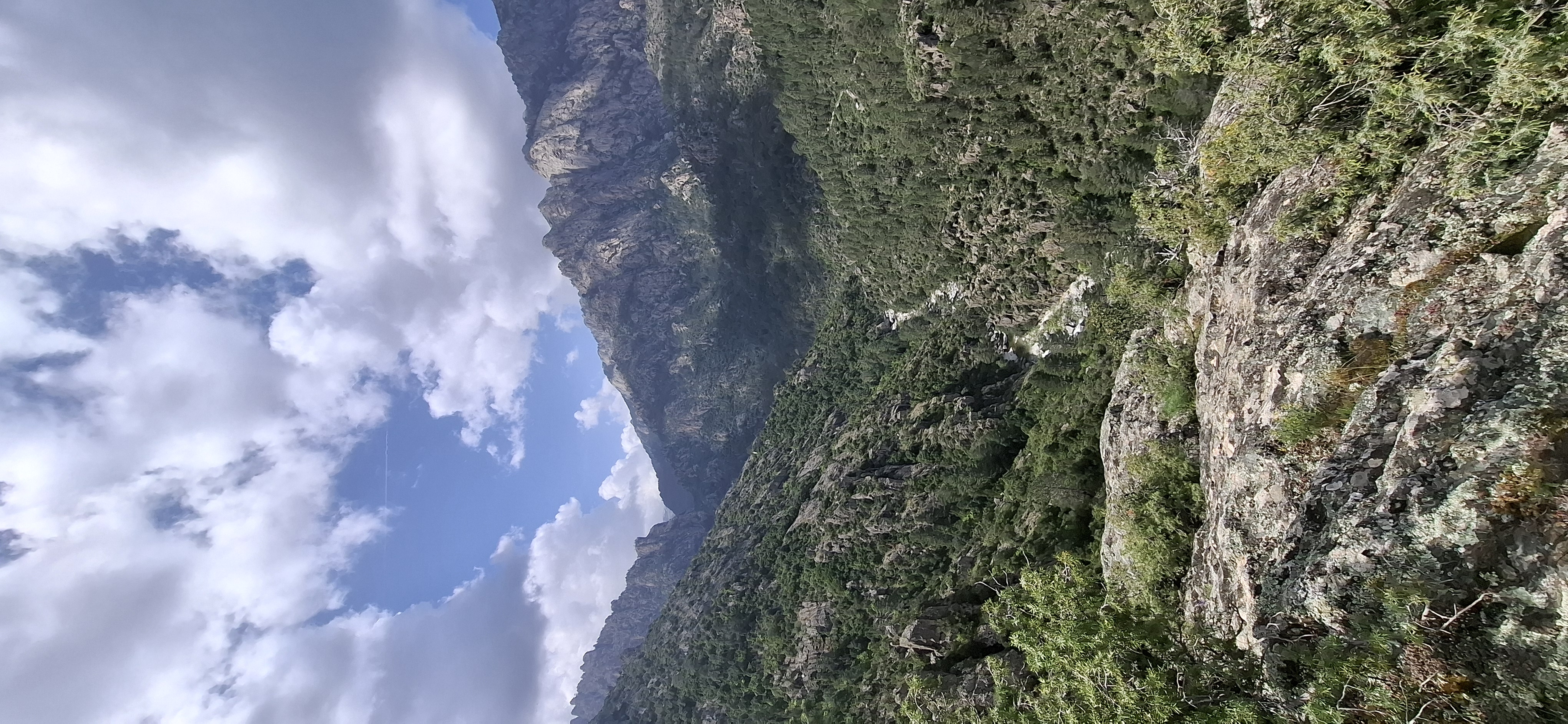 Paysage — sentier de transhumance